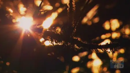 Discovery. Sunrise Earth - 33. Cloudforest Waterfall