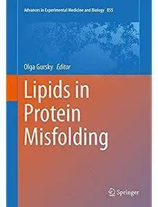 Lipids in Protein Misfolding [Repost]