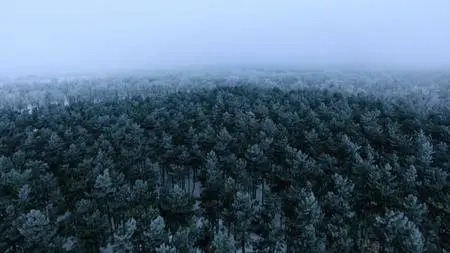 CBC - The Nature Of Things: Ice Bridge (2017)