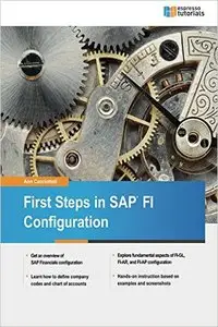 First Steps in SAP FI Configuration