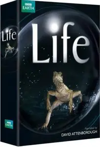 BBC Life - Ep 10 - Primates (2009)