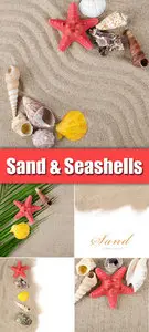 Stock Photo - Sand & Seashells