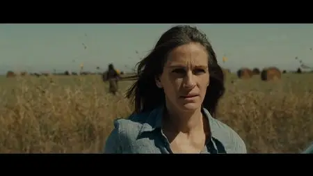 August: Osage County (2013)
