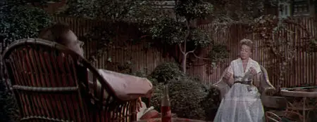 The Seven Year Itch (1955)