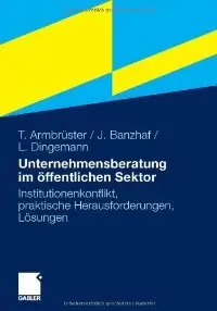 Unternehmensberatung im öffentlichen Sektor: Institutionenkonflikt, praktische Herausforderungen, Lösungen