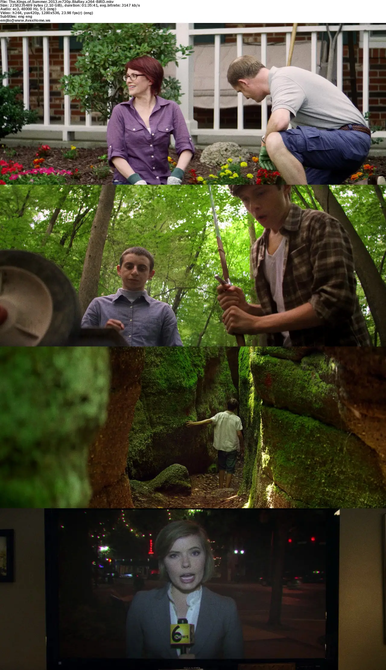 The Kings of Summer (2013)