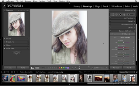 Photoshop Lightroom 4 Essentials: Enhancing Photos with the Develop Module