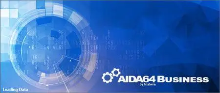 AIDA64 Business 6.85.6300 Multilingual Portable