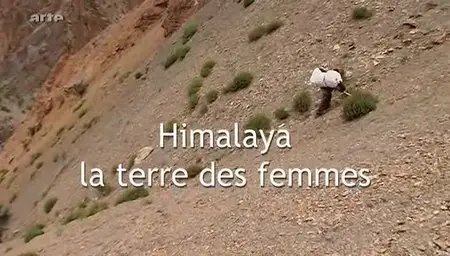 (Arte) Himalaya, la terre des femmes (2012)