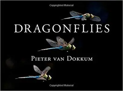 Dragonflies: Magnificent Creatures of Water, Air, and Land