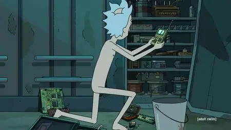 Rick and Morty S05E08