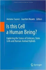 Is this Cell a Human Being?: Exploring the Status of Embryos, Stem Cells and Human-Animal Hybrids