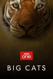 Big Cats S01E02
