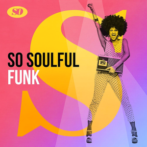 VA - So Soulful Funk (2019)