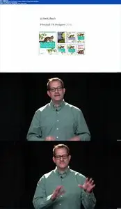 Oreilly -  Designing for Discovery