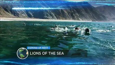 Journey with Dylan Dreyer S02E22