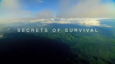 PBS - NATURE: Secrets of Survival (2020)