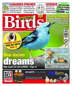 Cage & Aviary Birds – 05 April 2023