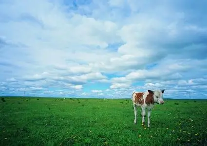 ImageDJ DI 048 Great Plains