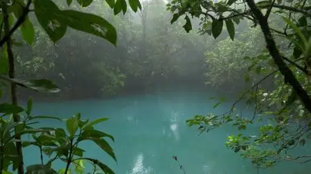 Terranoa - Costa Rica: Wildlife under the Rainbow (2018)