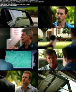 Hawaii Five-0 2010 S02E13 "Ka Ho'oponopono (The Fix)"