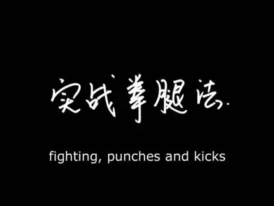 Shaolin Warrior - Fighting Punches And Kicks - Vol. 1