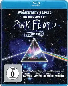 Momentary Lapses - The True Story Of Pink Floyd (2010)