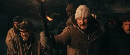 The Grey (2011)