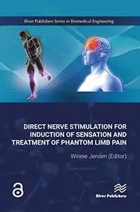 Direct Nerve Stimulation for Induction of Sensation and Treatment of Phantom Limb Pain (Repost)