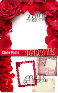Rose Fames - UHQ Stock Photo