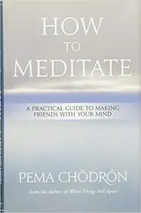 How to Meditate: A Practical Guide to Making Friends with Your Mind