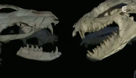 (Fr5) La relève du dinosaure (2010)