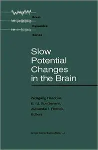 Slow Potential Changes in the Brain