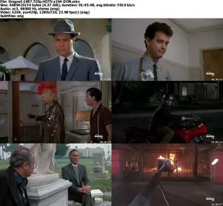 Dragnet (1987)