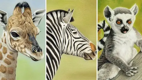 How To Draw Wild Animals Vol 3 - Zebra, Giraffe And Lemur