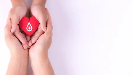 Next.js 15 & Supabase: Full-Stack Blood Donation System