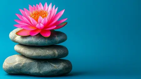 Feng Shui Certification: Transform Spaces, Transform Lives