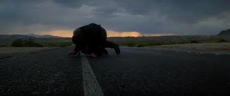 The Hitcher (1986) [Restored]