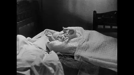 Waterfront (1950)
