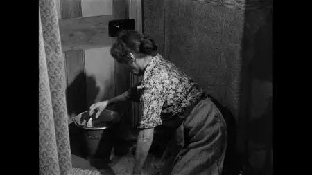 Waterfront (1950)