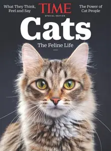 TIME: Cats, 2024