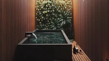 Biophilic Design for Beginners