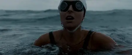 Vindication Swim (2024)