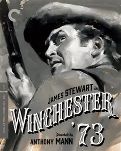 Winchester '73 (1950)