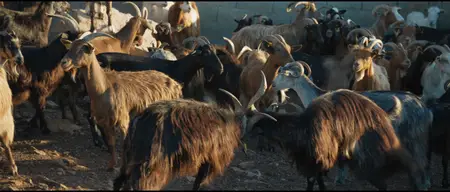 Le Mohican (2024)