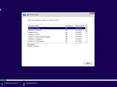 Windows 11 AIO 16in1 24H2 Build 26100.4351 (No TPM Required) Preactivated June 2025