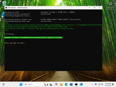 Windows 11 AIO 16in1 24H2 Build 26100.4351 (No TPM Required) Preactivated June 2025