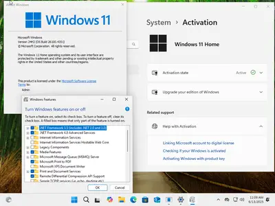 Windows 11 AIO 16in1 24H2 Build 26100.4351 (No TPM Required) Preactivated June 2025