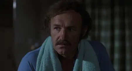 Night Moves (1975) [The Criterion Collection]