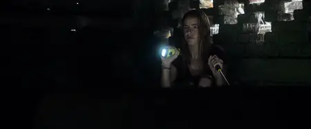 Crawl (2019)